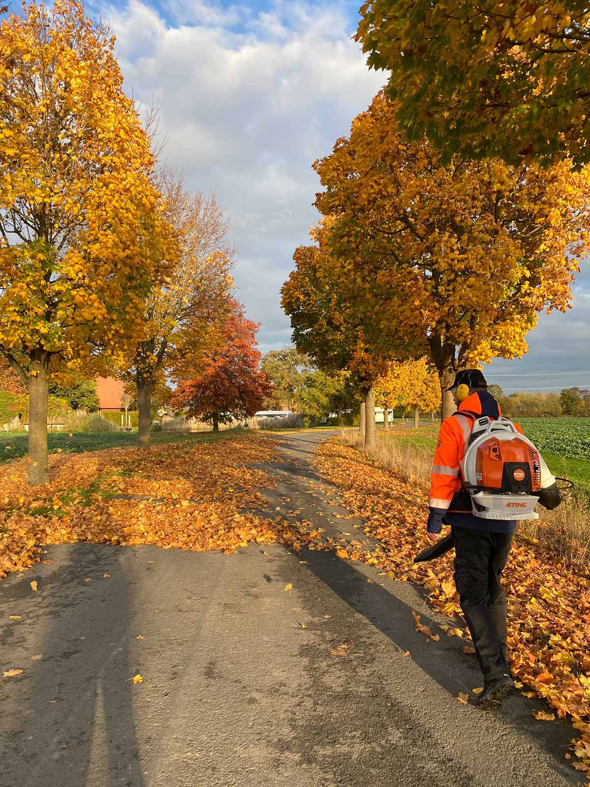 Arbeiter in Warnweste mit Laubbläser auf einem Weg mit herbstlichem Laub und Bäumen in leuchtenden Farben.